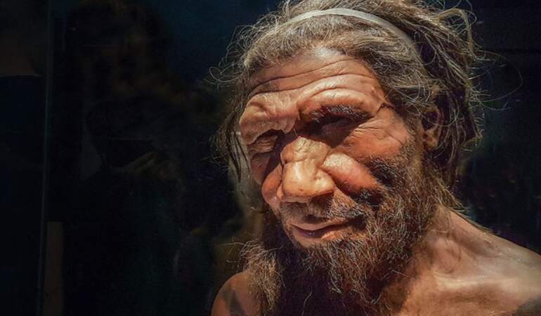 İlk matematikçiler Neandertaller olabilir