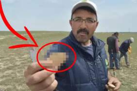 Köylü altın gibi arıyor! Konya’da kıtlık vurdu, Niğde’nin topraklarından fışkırıyor: Etten bile pahalı satılıyor