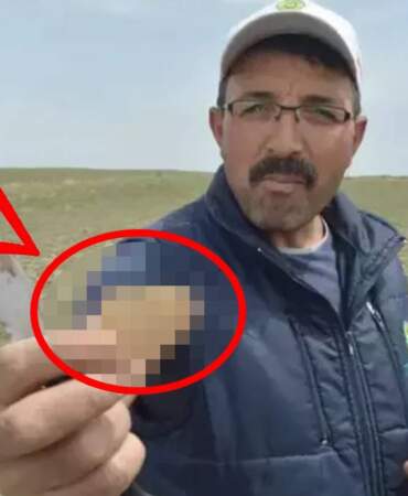 Köylü altın gibi arıyor! Konya’da kıtlık vurdu, Niğde’nin topraklarından fışkırıyor: Etten bile pahalı satılıyor