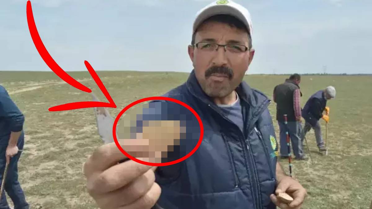 Köylü altın gibi arıyor! Konya’da kıtlık vurdu, Niğde’nin topraklarından fışkırıyor: Etten bile pahalı satılıyor