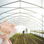 Kendi serasını kurmak isteyenler müjde! O bankadan 10 milyon TL 10 yıl vadeli yeni kredi: İşte detaylar