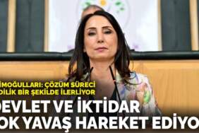 Hatimoğulları: Çözüm süreci şimdilik bir şekilde ilerliyor! Devlet ve iktidar çok yavaş ilerliyor