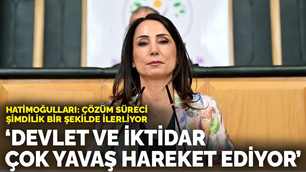 Hatimoğulları: Çözüm süreci şimdilik bir şekilde ilerliyor! Devlet ve iktidar çok yavaş ilerliyor
