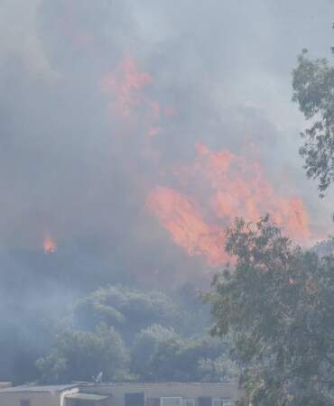Orman yangınlarında 17 gözaltı
