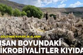 Van Gölü’nde kuraklık alarmı: Mikrobiyalitler ortaya çıktı, bazıları insan boyuna yaklaştı