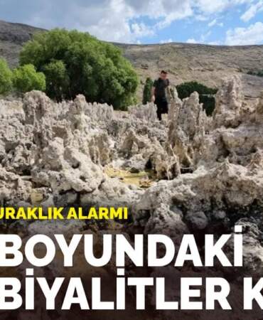Van Gölü’nde kuraklık alarmı: Mikrobiyalitler ortaya çıktı, bazıları insan boyuna yaklaştı
