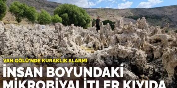 Van Gölü’nde kuraklık alarmı: Mikrobiyalitler ortaya çıktı, bazıları insan boyuna yaklaştı