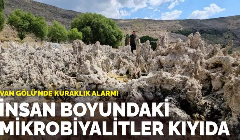 Van Gölü’nde kuraklık alarmı: Mikrobiyalitler ortaya çıktı, bazıları insan boyuna yaklaştı