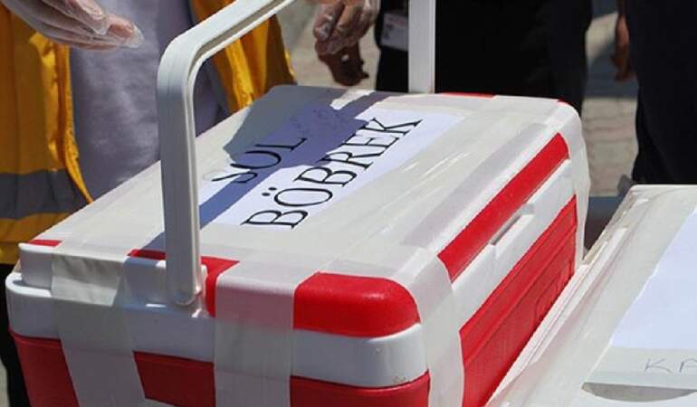 Ekonomik kriz ilanlara yansıdı: Organ ticareti tehlikesi