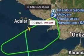 Sabiha Gökçen Havalimanı’nda sürpriz misafir: Tavşan uçağı geri gönderdi
