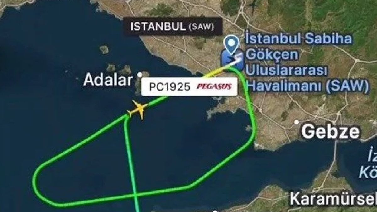 Sabiha Gökçen Havalimanı’nda sürpriz misafir: Tavşan uçağı geri gönderdi