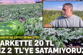 Osmaniye’de çiftçi fiyatlara isyan etti: Markette 20 TL biz 2 TL’ye satamıyoruz