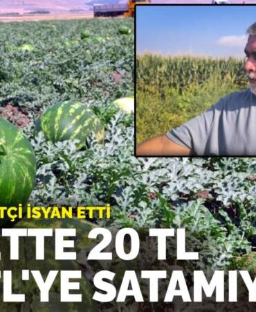 Osmaniye’de çiftçi fiyatlara isyan etti: Markette 20 TL biz 2 TL’ye satamıyoruz