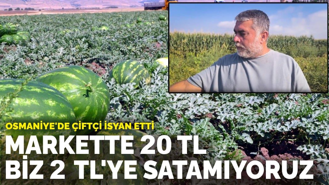 Osmaniye’de çiftçi fiyatlara isyan etti: Markette 20 TL biz 2 TL’ye satamıyoruz