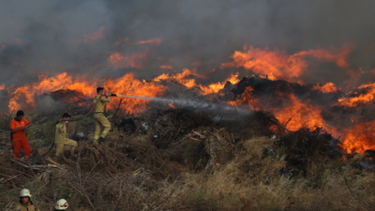 Antalya’da 2 ayrı orman yangını