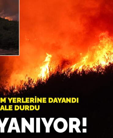İzmir yanıyor! Alevler yerleşim yerlerine dayandı, havadan müdahale durdu