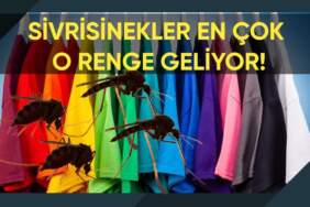 Sivrisineklerden korunmak için bu renk kıyafet giymeyin! Hemen üzerinize çekiyor