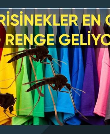 Sivrisineklerden korunmak için bu renk kıyafet giymeyin! Hemen üzerinize çekiyor