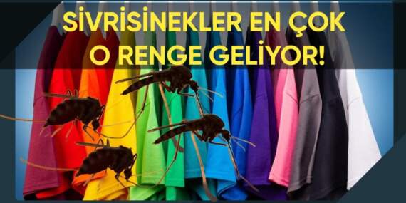 Sivrisineklerden korunmak için bu renk kıyafet giymeyin! Hemen üzerinize çekiyor