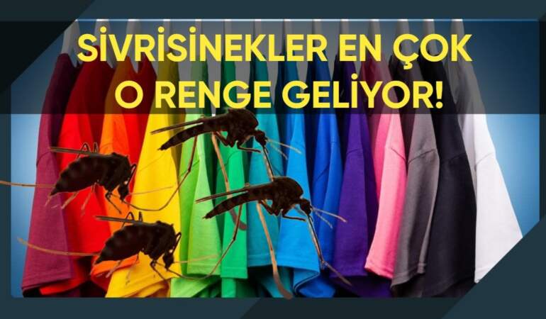 Sivrisineklerden korunmak için bu renk kıyafet giymeyin! Hemen üzerinize çekiyor