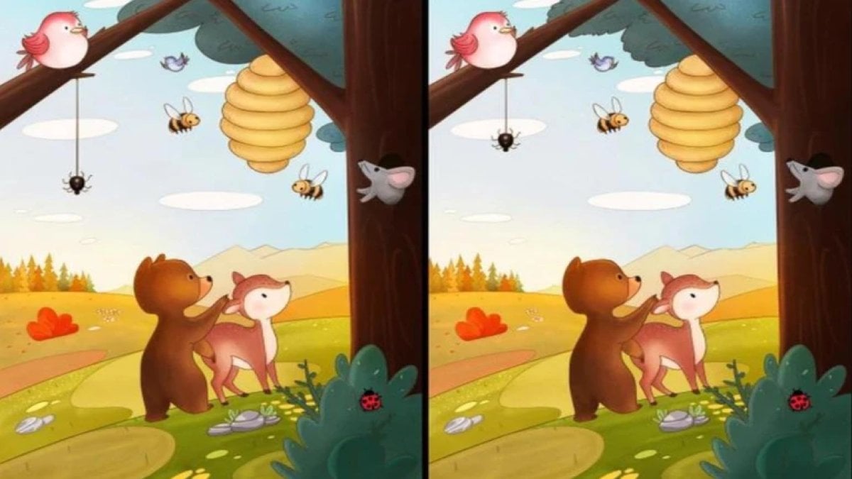 Yalnızca gerçek dahilerin 20 saniyede çözebildiği zeka oyunu: İki görsel arasındaki 7 farkı bulabilir misiniz?