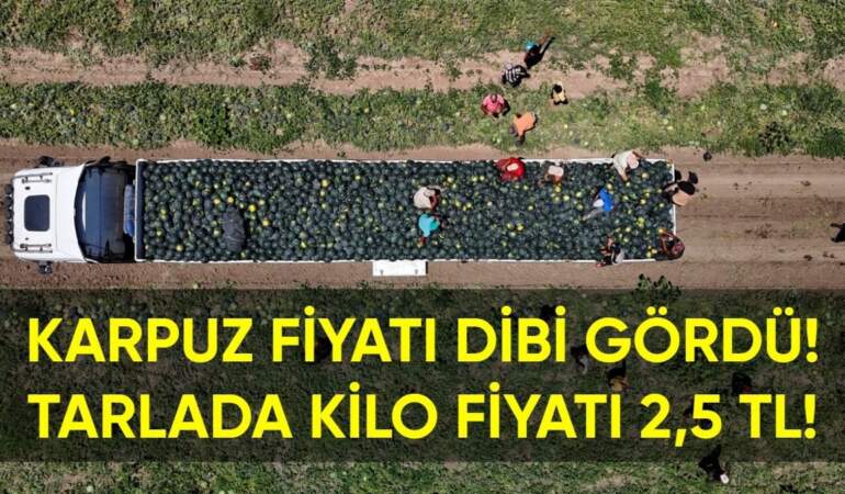 Yazın olmazsa olmazı karpuzun fiyatı dibi gördü! Tarlada kilosu sadece 2,5 TL