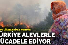 Türkiye alevlerle mücadele ediyor: 6 ilde ciğerlerimiz yanıyor
