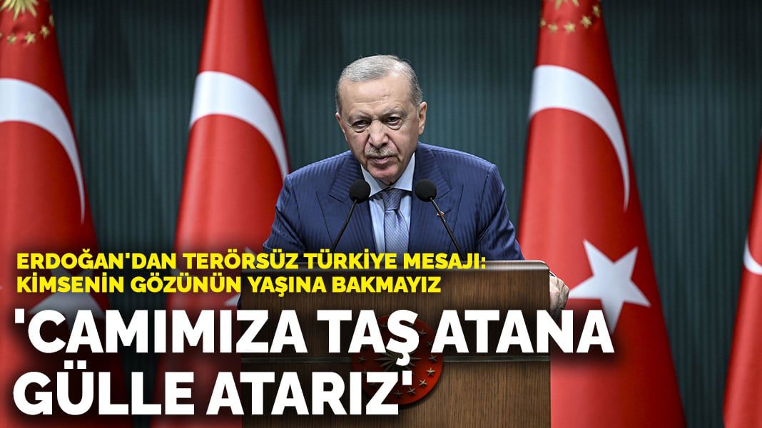 Erdoğan’dan terörsüz Türkiye mesajı: Camımıza taş atana gülle atarız