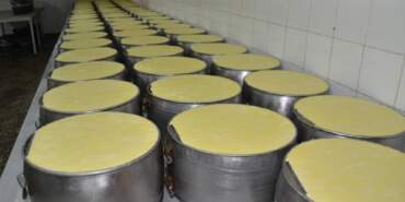 5 Kardeş Birleşip Yeni İş Kurdu, Anında Zengin Oldu: 1 Yıl Bekliyor, Altın Değerinde Satılıyor