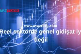 Türkiye Ekonomisinde Kritik Dönemece: Reel Sektör Verilerinde Dramatik Gerileme Başladı
