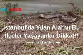 Uzmanlar Acil Koduyla Uyardı, Peki Ya Zehirli Sır Ortaya Çıkarsa!