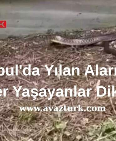 Uzmanlar Acil Koduyla Uyardı, Peki Ya Zehirli Sır Ortaya Çıkarsa!