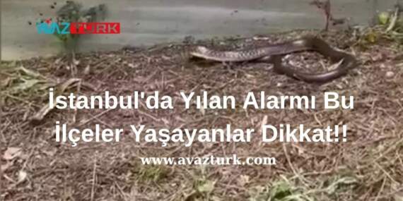 Uzmanlar Acil Koduyla Uyardı, Peki Ya Zehirli Sır Ortaya Çıkarsa!