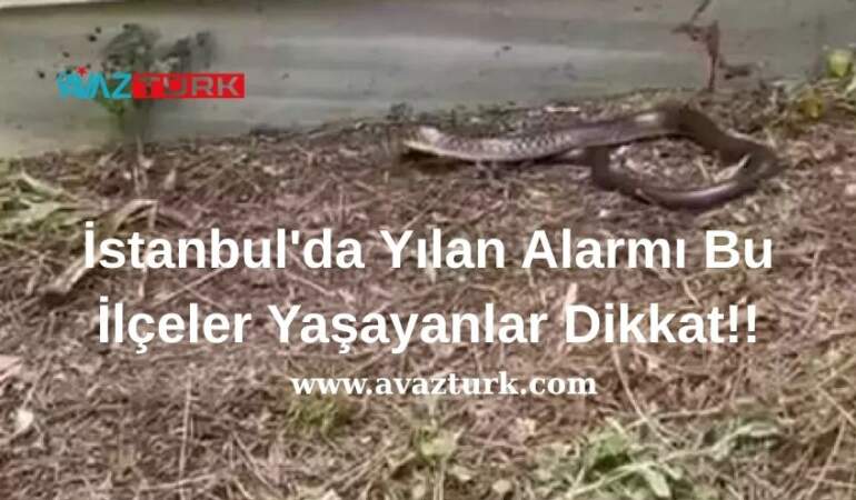 Uzmanlar Acil Koduyla Uyardı, Peki Ya Zehirli Sır Ortaya Çıkarsa!