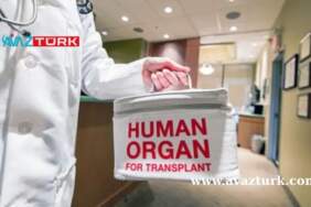 Yoksulluk Uçurumu Organ Pazarına Dönüştü: İnsanlar Yaşamlarından Vazgeçiyor!