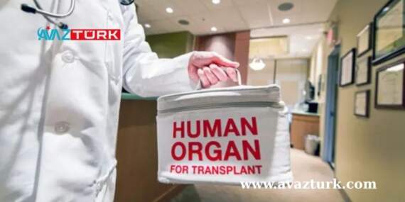 Yoksulluk Uçurumu Organ Pazarına Dönüştü: İnsanlar Yaşamlarından Vazgeçiyor!