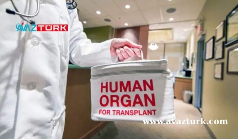 Yoksulluk Uçurumu Organ Pazarına Dönüştü: İnsanlar Yaşamlarından Vazgeçiyor!