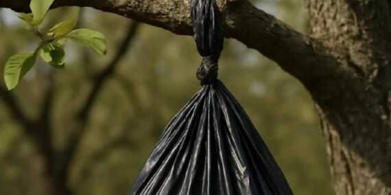 Ağaca Asılı Siyah Poşetin Anlamı Ortaya Çıktı: Yaklaşmak Bile Tehlikeli