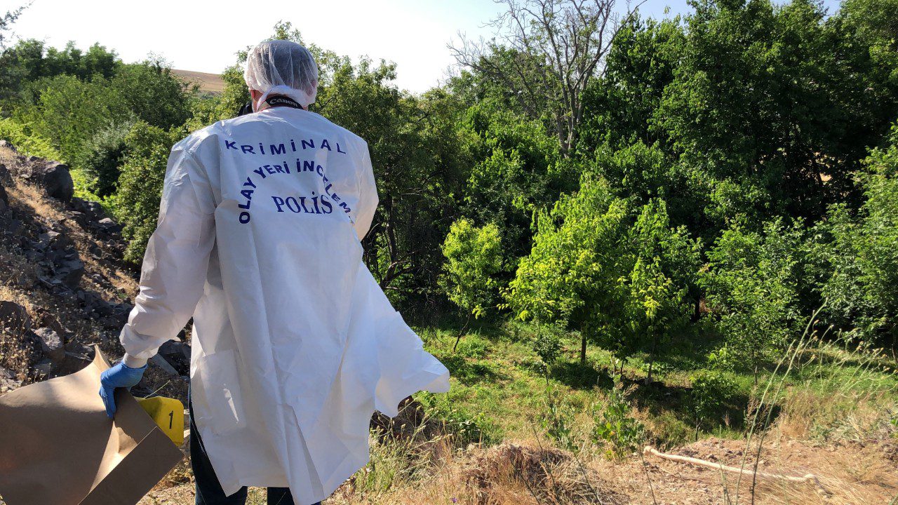 Ağaçlık Alanda Korkunç Olay! Görenler Dehşete Düştü