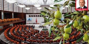 AK Parti’den Tartışma Yaratacak Teklif: Zeytinliklerde Madenciliğe Yeşil Işık