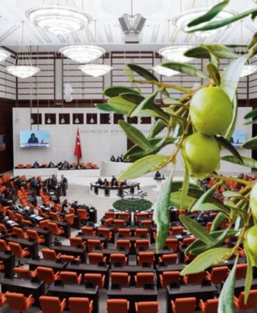 AK Parti’den Tartışma Yaratacak Teklif: Zeytinliklerde Madenciliğe Yeşil Işık