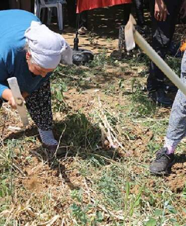 Beyaz Altını Hasat Eden Köşeyi Dönüyor: Sadece 6 Kişi Ekiyor, Her Poşeti Para Basıyor