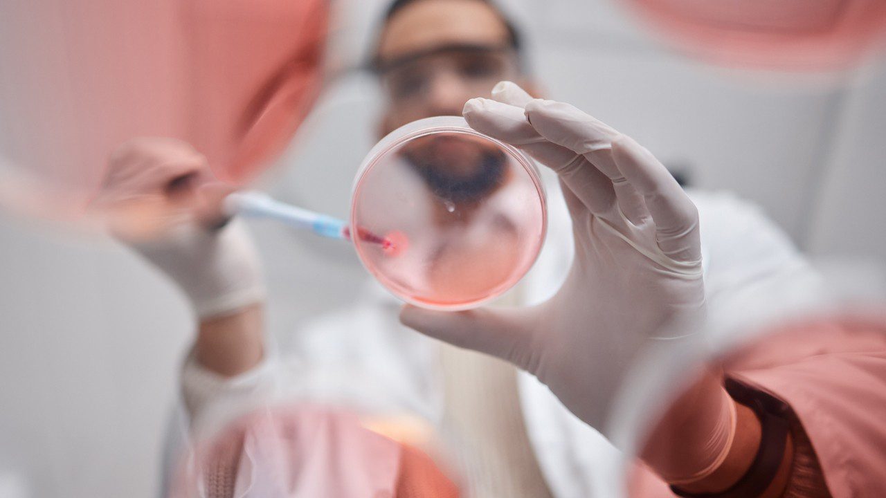 Bir Ülke Alarmda: Kabus Geri Döndü, İlk Ölüm Gerçekleşti