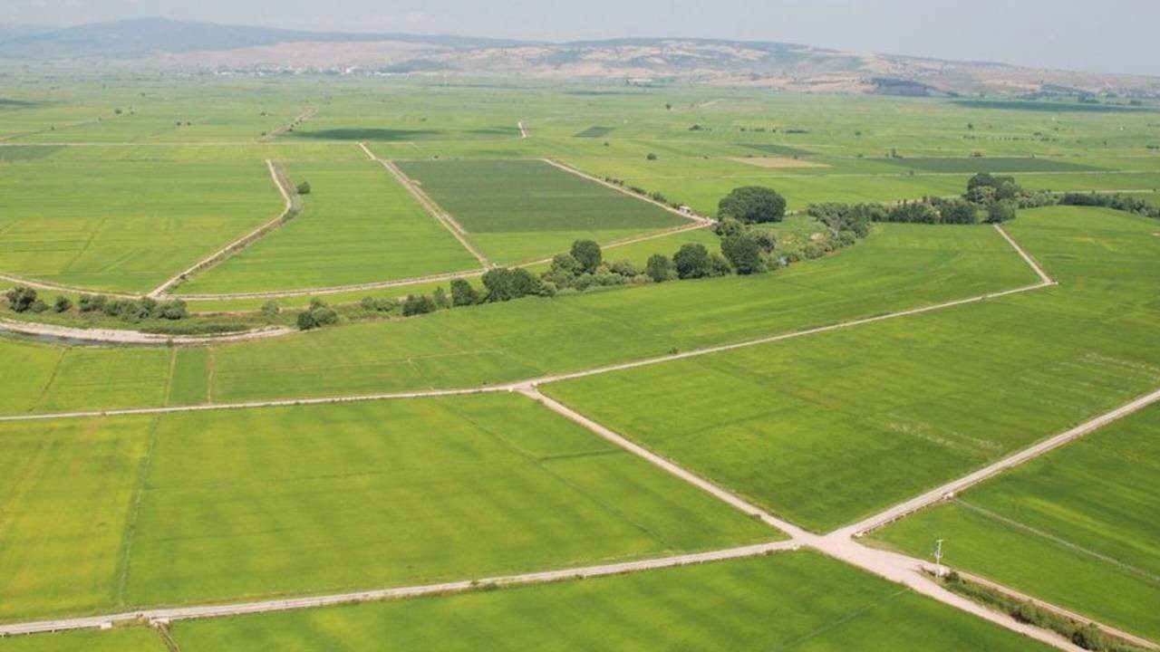 Bu Bölgelerde Yatırım Yapanlar Yaşadı! Değeri 10 Katına Çıkacak, Altını Sollayacak