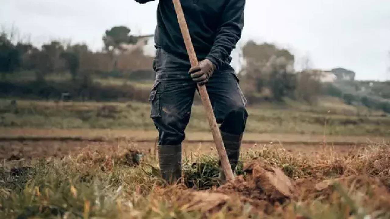 Çiftçilerin İç Çamaşırını Toprağa Gömmesinin Nedeni Ortaya Çıktı: Meğer Anlamı Buymuş