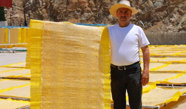 Coğrafi İşaretli Meşhur Lezzet Cips Haline Getirildi, Artık Avrupa’da Yok Satıyor