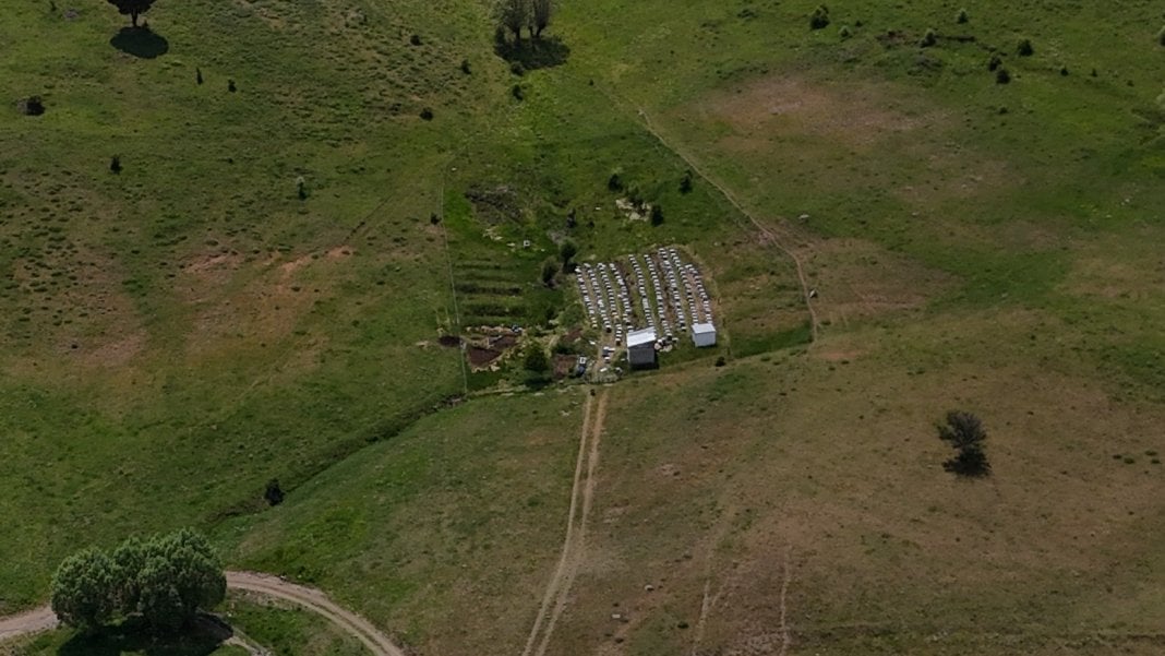 dunyanin-en-pahali-besini-kilogrami-45-bin-lira-3 dunyanin-en-pahali-besini-kilogrami-45-bin-lira-3.jpg