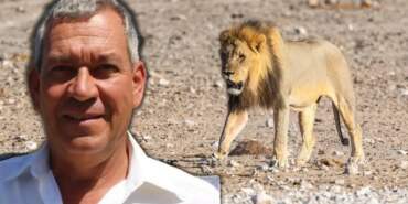 Dünyayı Dehşete Düşüren Olay! Ünlü İş İnsanını Aslan Yedi