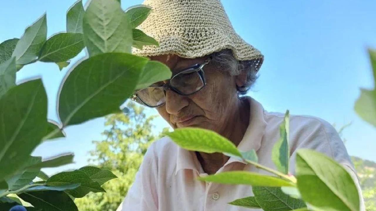 Emekli Oldu, Tüm İkramiyesini Bu İşe Yatırdı: Şimdi Paraya Para Demiyor