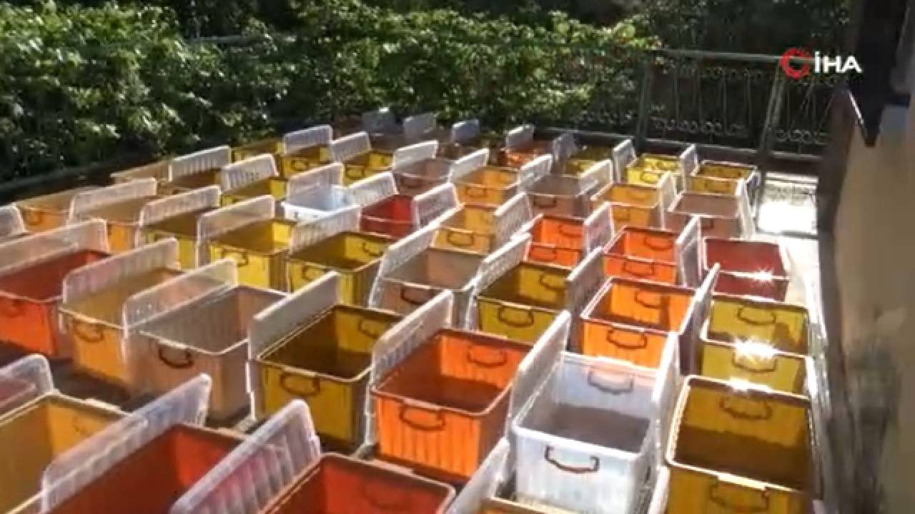 Emeklilikte Yeni İşiyle Köşeyi Döndü: Kilosunu 2.500 TL’den Satıyor, Sosyal Medyadan Sipariş Yağıyor